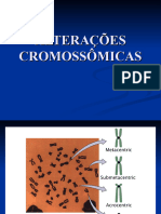Alteraoes Cromossomicas Estruturais