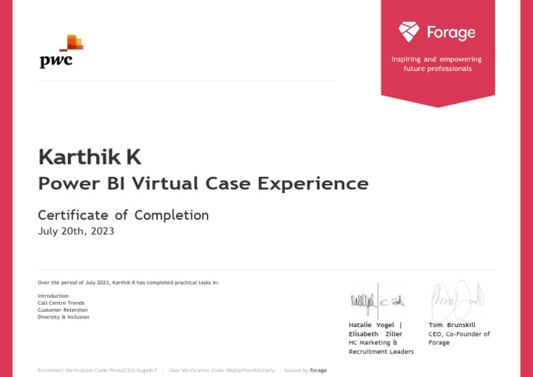 Pwc Power Bi PDF