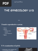 The Gynecology Us