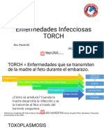 Seminario Torch