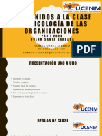 Bienvenidos Psicologia de Las Organizaciones