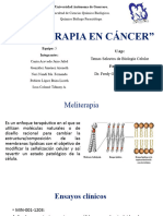 Meliterapia en Cáncer-Equipo5