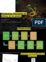 Exposición Sobre Defensa Natural de Las Plantas A Las Plagas - Fitoalexinas