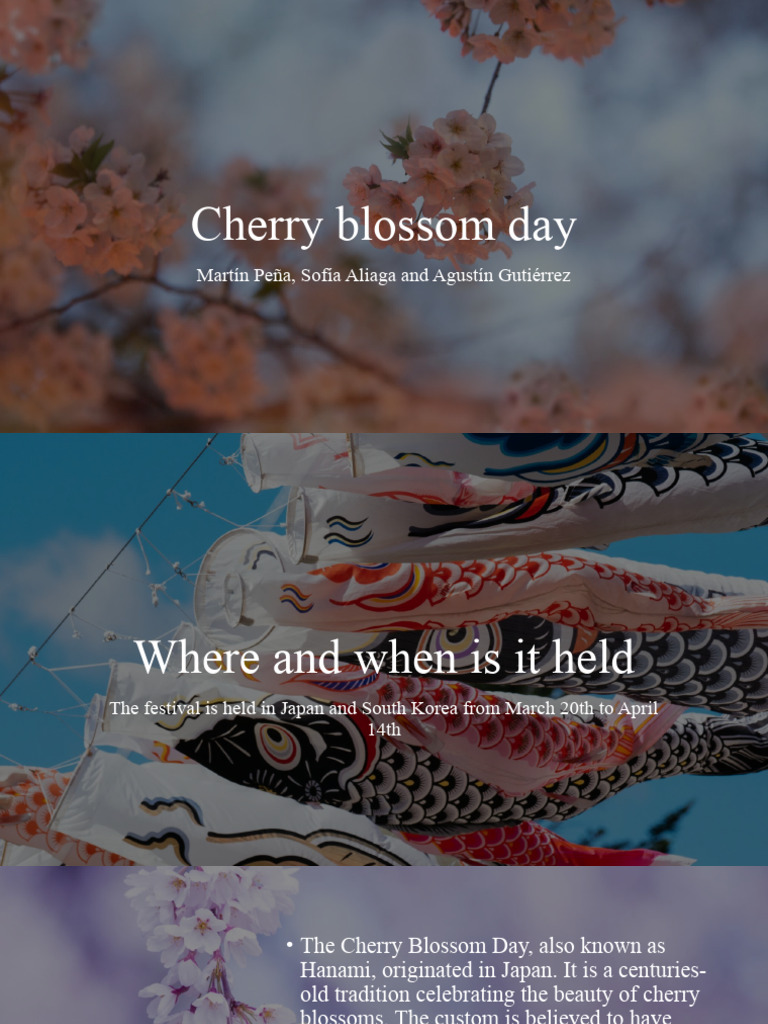 Cherry Blossoms | PDF | Home & Garden