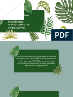 Plantas Terrestres Briófitas, Pteridófitas, Gimnospermas e Angiospermas - 20240304 - 213242 - 0000