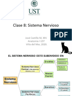Clase 8 Sistema Nervioso