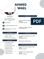 Ahmed Wael Resume