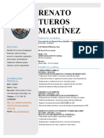 CV - Renato Tueros Martínez