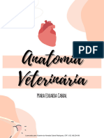 ANATOMIA-COMPLETA-794zk0 4340 1701845579