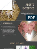 Aborto Enzootico