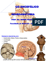 Tronco Encéfalico