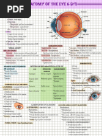 Common Ophthalmology Abbreviations | PDF | Glaucoma | Surgery