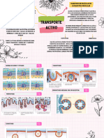 Mapa Conceptual Del Transporte Activo y Pasivo