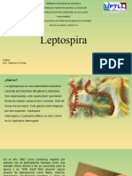 Leptospira Charla 1