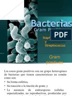 Bacterias: Gram Positivas