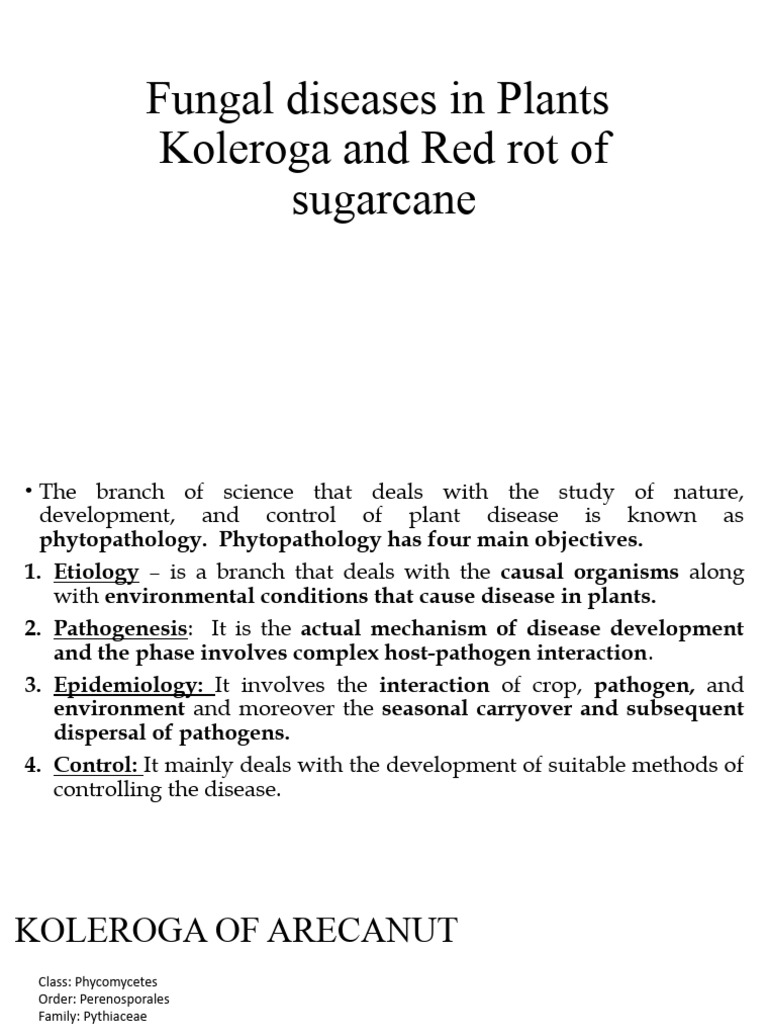 Fungal Diseases in Some Plants | PDF | Plant Pathology | Leaf