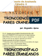 Clase Introductoria Al TP37 Pares Craneales