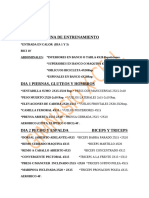 Rutina de Entrenamiento (PDF - Io)
