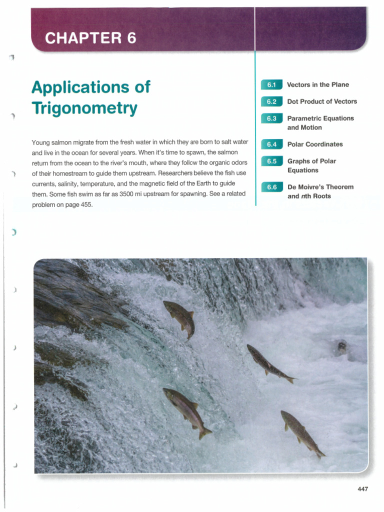 Chapter+6 (1) | PDF