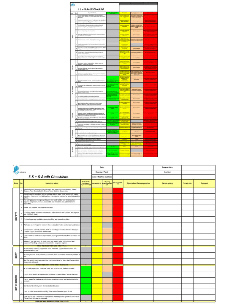 5S+S Checklist PDF Personal Protective Equipment Audit