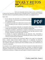 Síntesis de Perspectivas y Retos de La Diversidad Cultural en América Latina