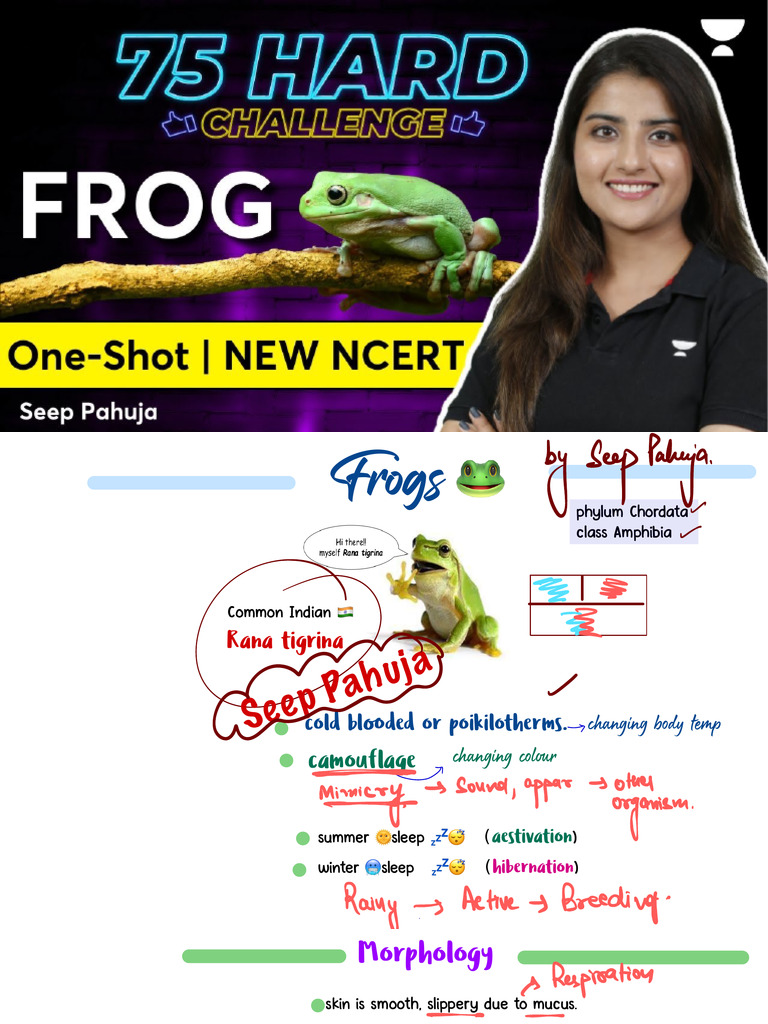 Anatomy and Morphology of Frogs | PDF | Human Digestive System | Vein