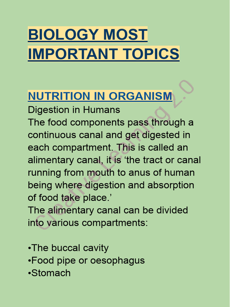 Key Topics in Biology Explained | PDF | Digestion | Flowers