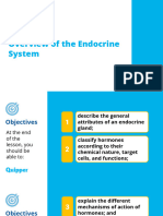 Science 10 A2.1 Overview of The Endocrine System