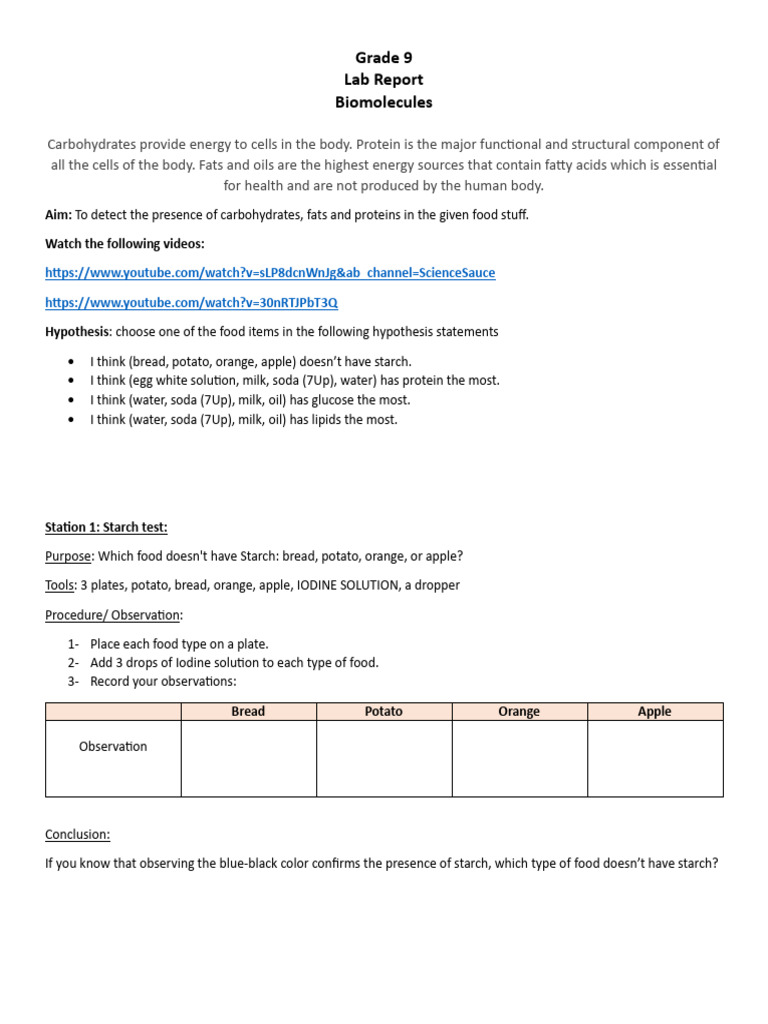 Grade 9 Lab Report on Biomolecules | PDF | Starch | Milk