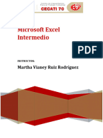 Manual de Excel Intermedio-2019