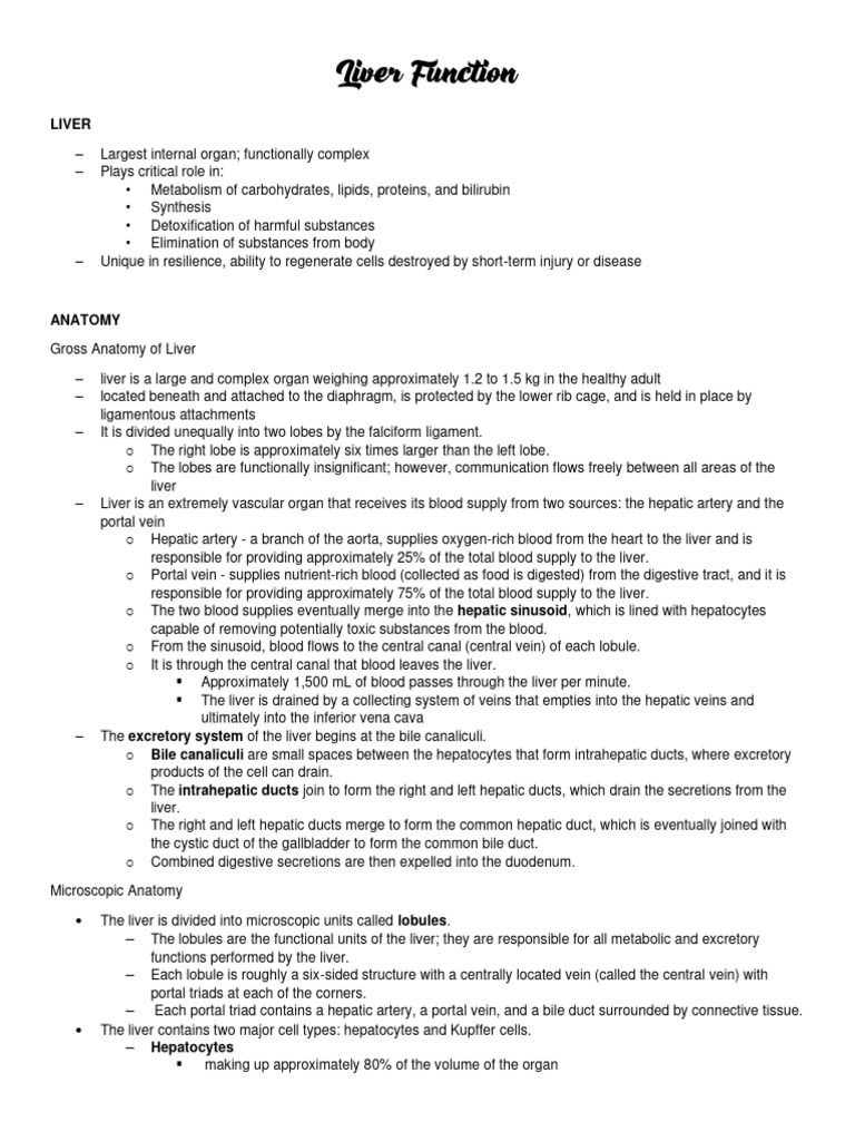 Liver Function | PDF