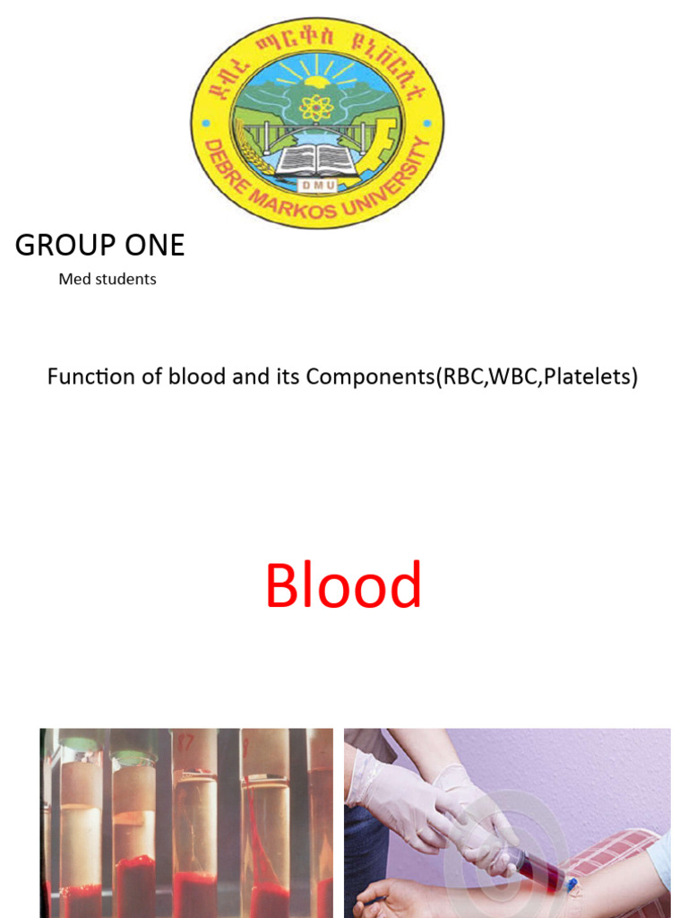 1 Blood | PDF