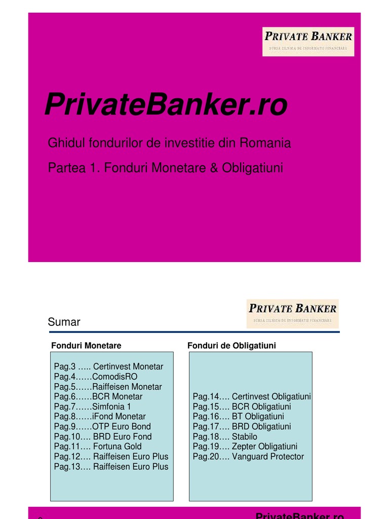 Ghidul Fondurilor de Investitii Din Romania. Partea 1 Fonduri Monetare ...