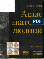 Анатомія Неттер Атлас 2004 українське видання