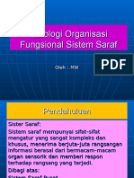 Organisasi Fungsional Sistem Saraf Mns