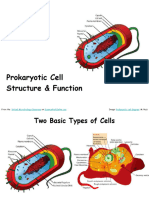 Prokaryotic Cell Structure Function Biology Lecture PowerPoint VMCCT
