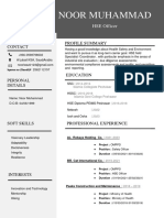 Noori CV PDF