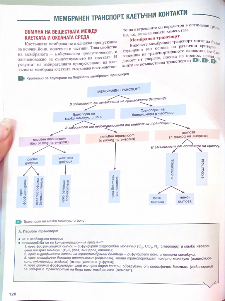 Мембранен транспорт | PDF