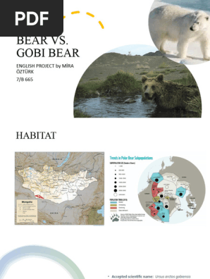 POLAR BEAR VS