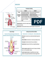 2 Respiratory Mind Map