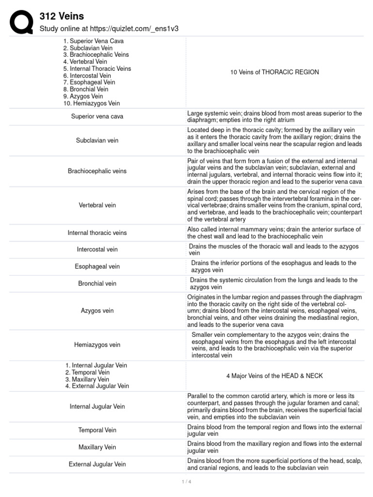 Comprehensive Guide to Human Veins | PDF | Vein | Human Leg