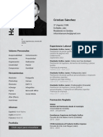 CV Cristian Sánchez PDF