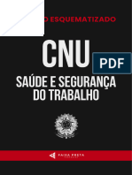 Resumo Seguranca e Saude Do Trabalho