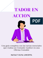 Ebook Contador en Accion 3.0