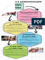 Infografia Cerebro y Aprendizajes A Lo Largo de La Vida