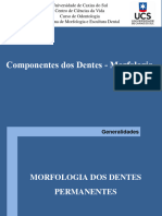 Aula 2 - Componentes Dos Dentes - Morfologia Dental - 2020 - 02