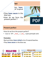 Present Perfect Tense - SS