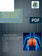 Aula 04 SISTEMA Respiratório