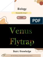 Venus Flytrap