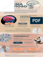 Infografia Sistema Nervioso Anatomico Azul Beige